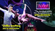 This image features promotional visuals for the New Shanghai Circus, showcasing acrobats performing with text highlights including 