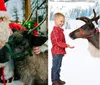 A child in winter clothing smiles while touching a reindeer as an individual dressed as Santa Claus stands beside them in a festive setting