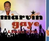 Marvin Gaye  the Master of Soul Tribute