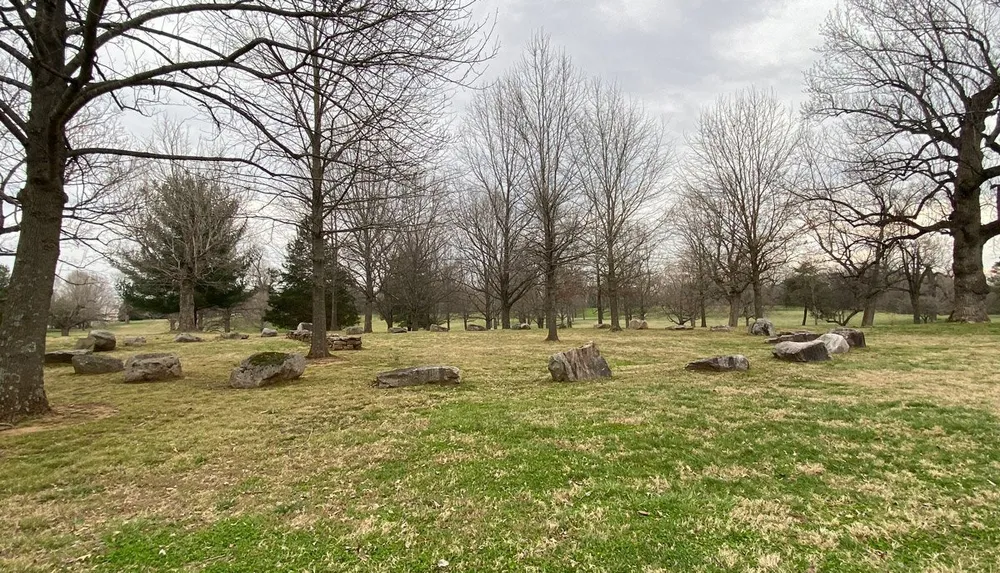 This image shows a tranquil park-like setting with bare trees and large rocks scattered across a grassy field under a cloudy sky