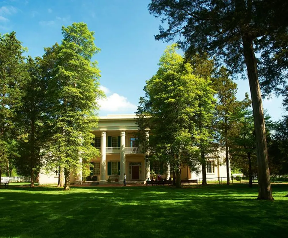 The image shows a classical style building with a large portico flanked by tall trees under a bright blue sky in a serene greenspace