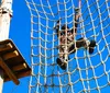 A person is gleefully zip-lining above a forested area