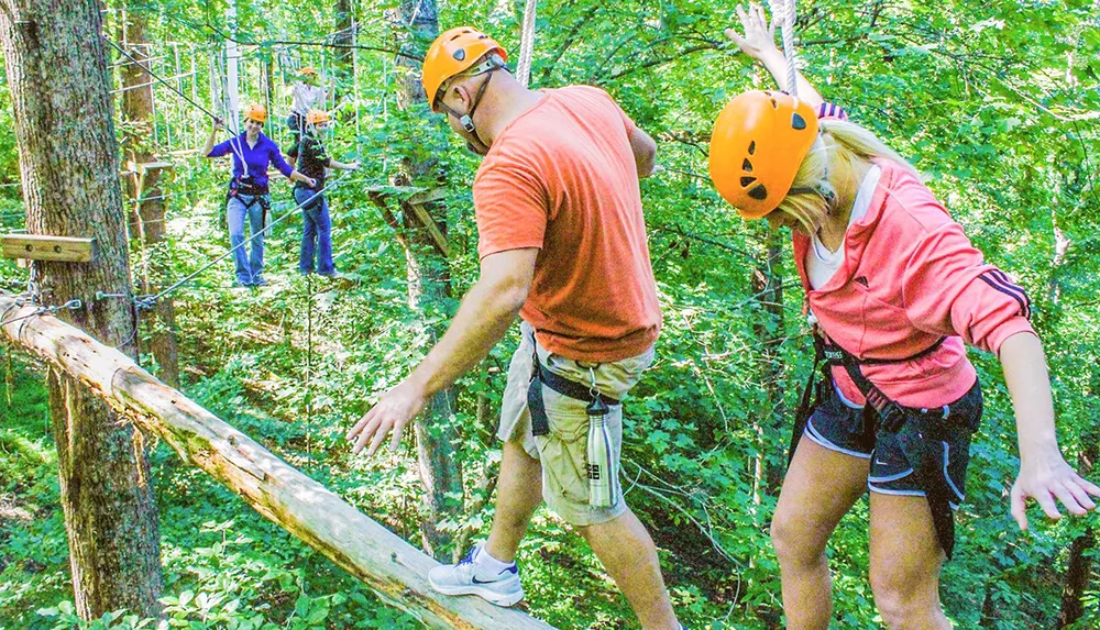 People are navigating an outdoor high ropes course amongst trees while wearing safety harnesses and helmets