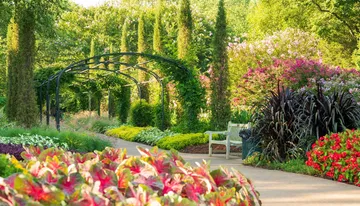 A serene garden pathway is flanked by lush greenery and vibrant flowers with a metal arch and a wooden bench inviting visitors to enjoy the surroundings.