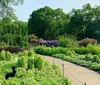 A serene garden pathway is flanked by lush greenery and vibrant flowers with a metal arch and a wooden bench inviting visitors to enjoy the surroundings