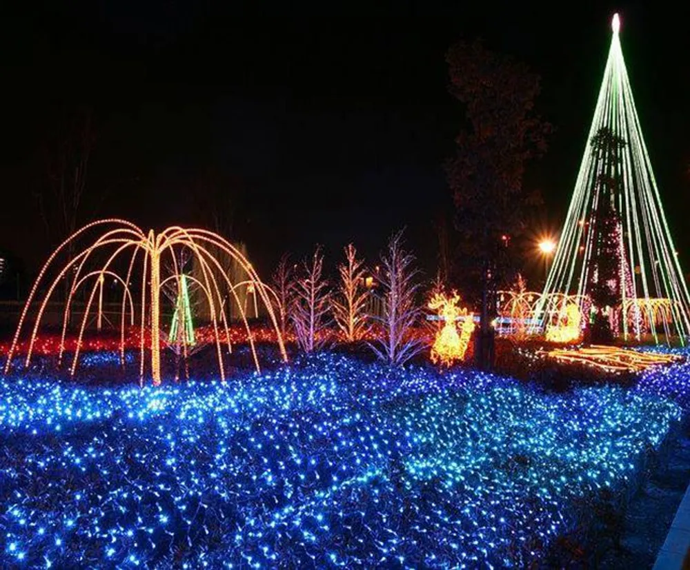 A vibrant outdoor holiday display featuring blue lights blanketing the ground with illuminated arches and a tall conical tree structure glowing in the background