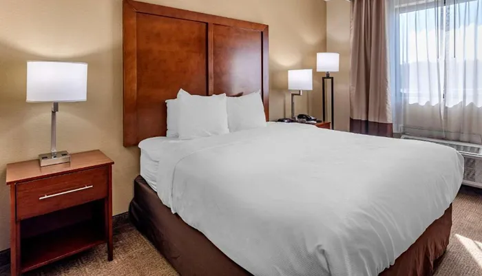 Room Photo for Comfort Inn Nashville