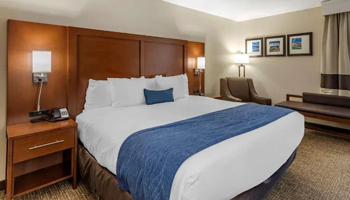 The image shows a neatly arranged hotel room with a large bed a sitting area and a decorative color scheme of whites blues and browns