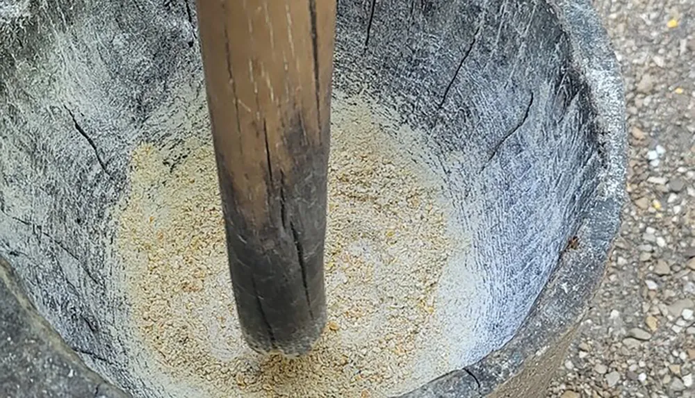 A wooden pestle stands in a large mortar with residue of ground substance at the bottom