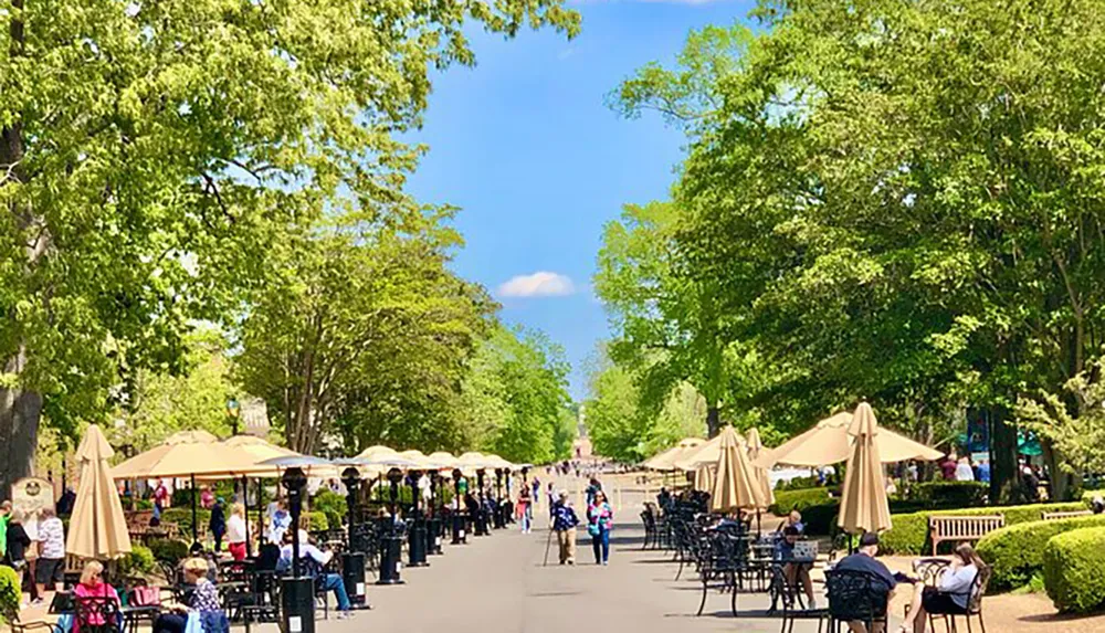 The image shows a sunny outdoor promenade lined with trees and parasol-covered tables where people are enjoying a leisurely day