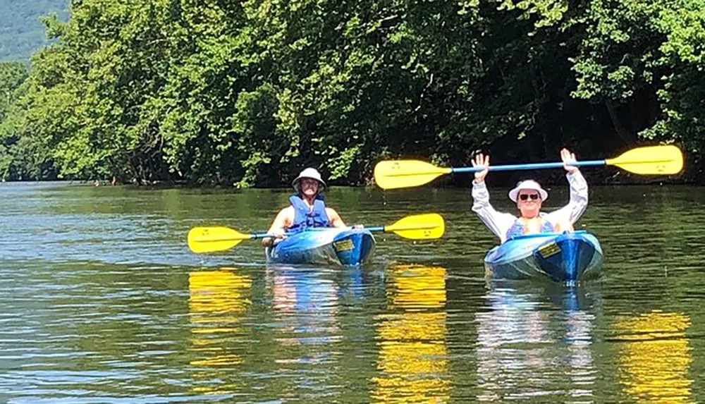 Two people are kayaking on a calm river with lush greenery in the background on a sunny day