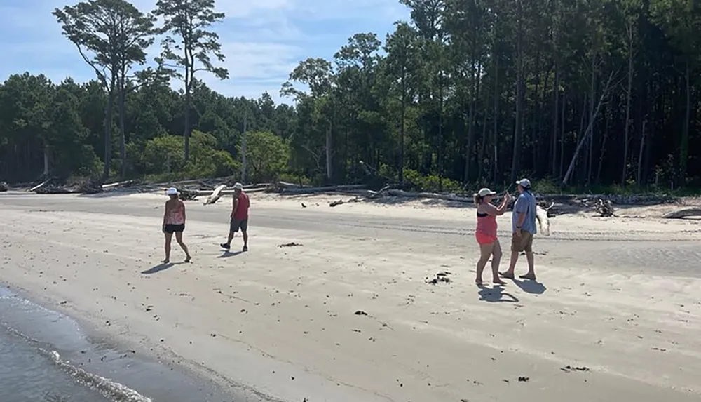 A group of people enjoys a sunny day on a sandy beach with a backdrop of tall trees