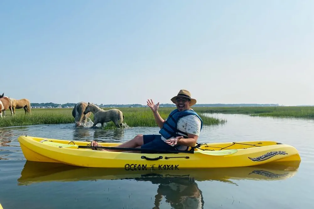 A person wearing a straw hat is cheerfully waving from a yellow kayak with horses grazing in the marshy background