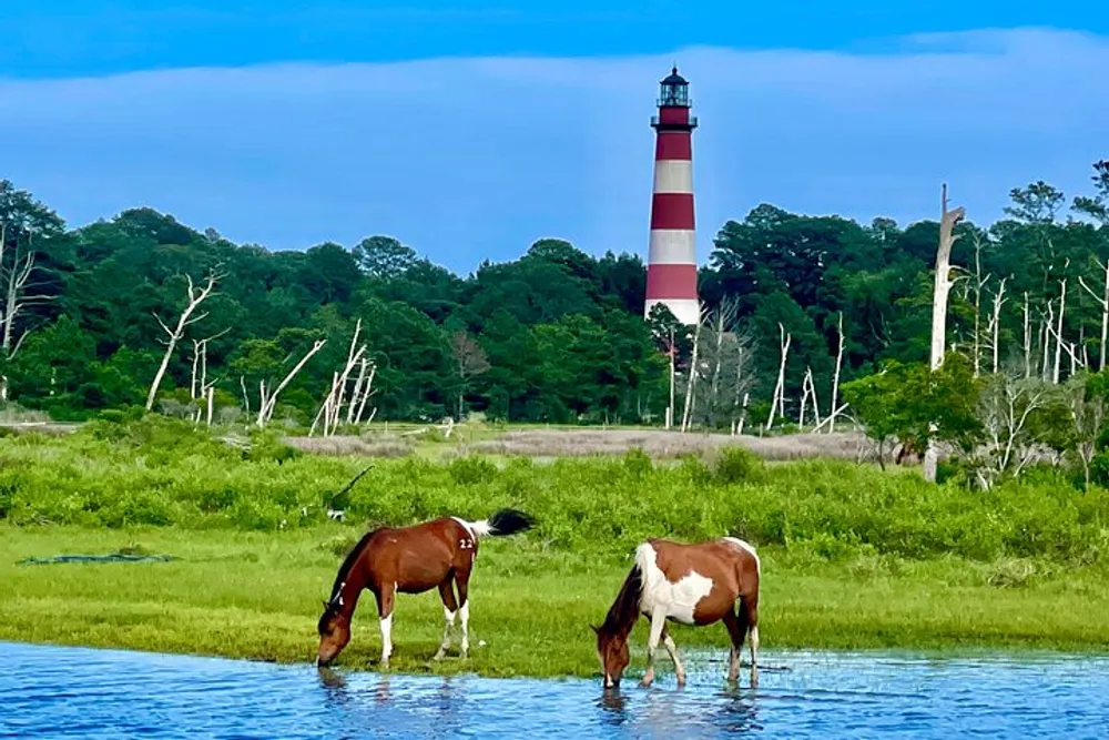 Two horses are grazing near water with a red and white striped lighthouse in the background