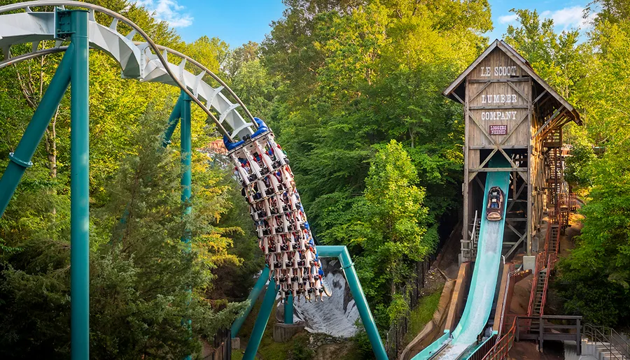 A roller coaster is captured mid-descent amidst lush greenery, juxtaposed against a log flume ride at an amusement park.