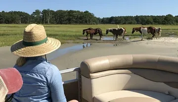 A person wearing a straw hat is observing a group of horses grazing near a water body in a lush, open field from the comfort of a boat.