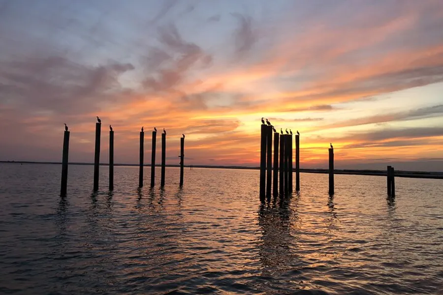 The image shows a serene sunset over water with birds perched on top of wooden pilings.