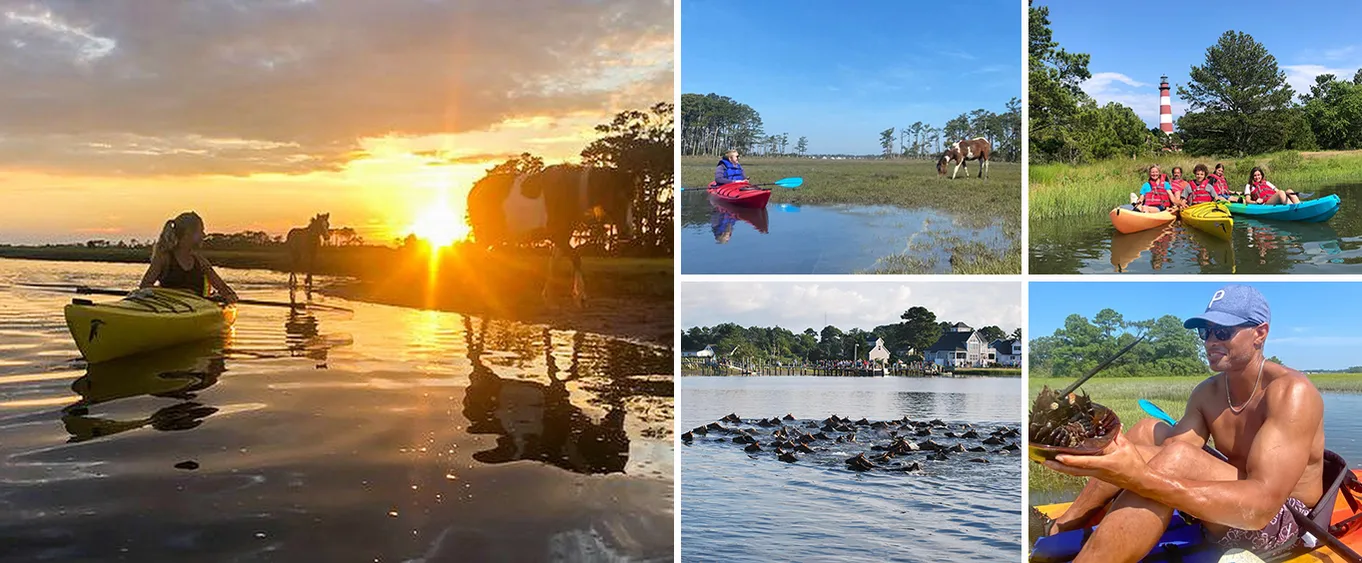 Chincoteague Pony Swim Kayak Tour