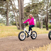 Full Day E-Bike Rental