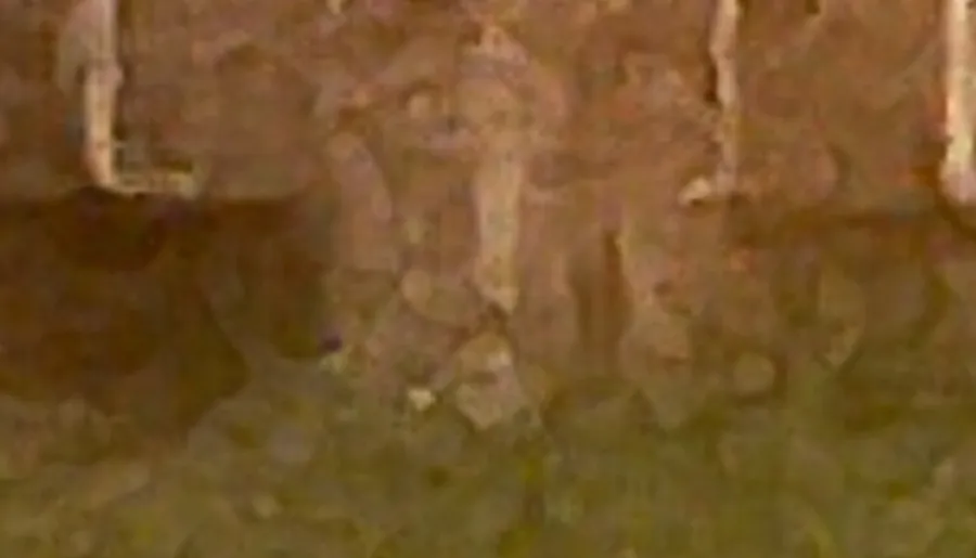 The image is too blurry and lacks detail to discern clear content, appearing as a patchwork of earthy and muted tones, possibly a close-up of a textured surface.