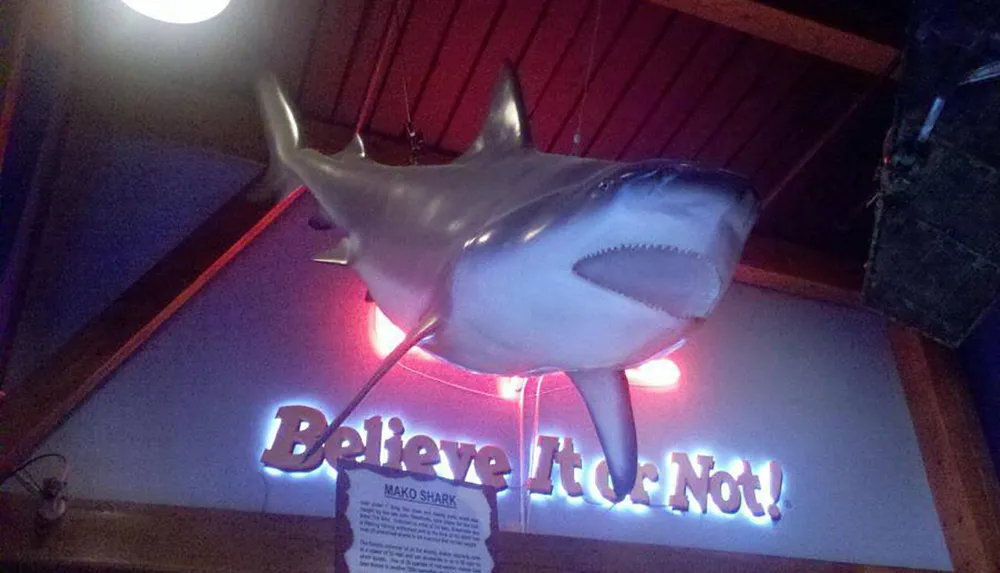 A life-sized model of a shark is suspended from the ceiling in front of a lit-up Believe It or Not sign