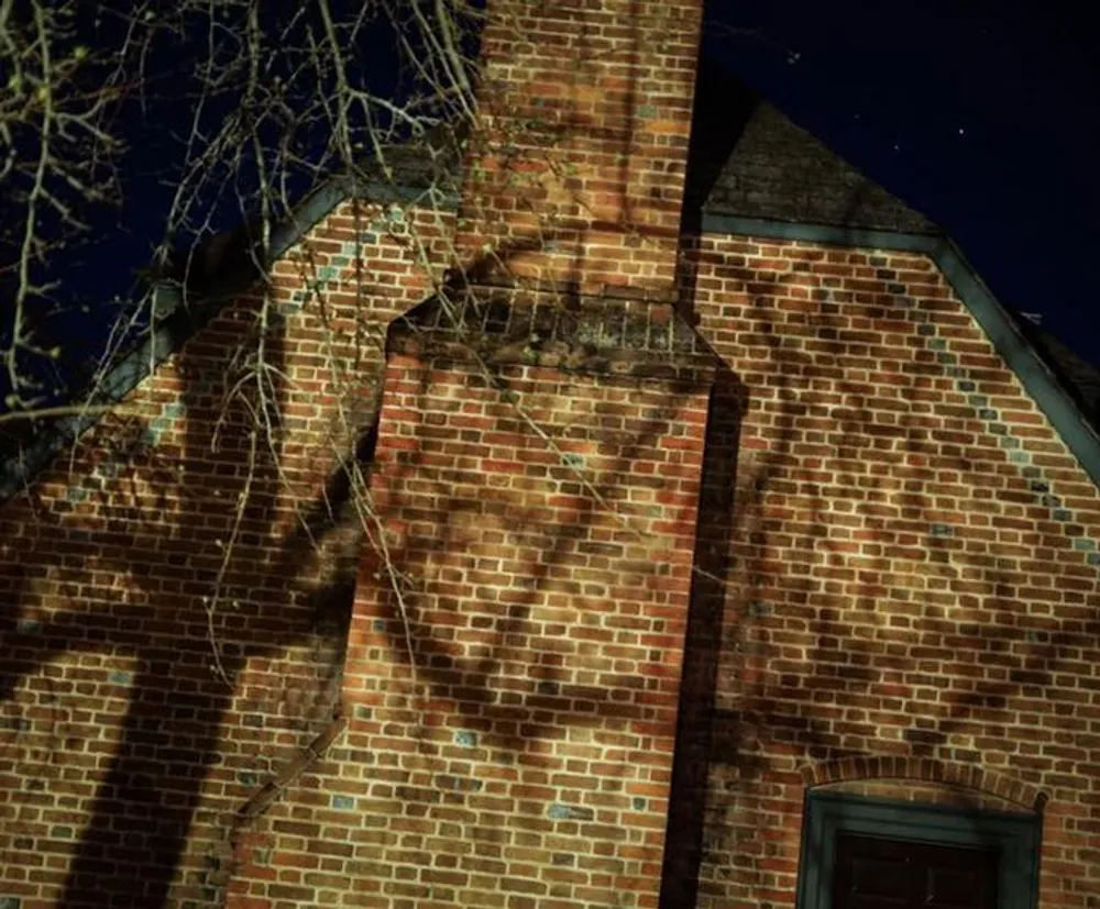 The image shows a shadow of a leafless tree cast onto a brick building at night creating an eerie atmosphere
