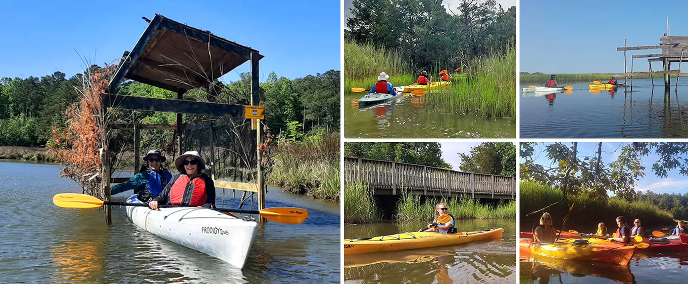 Ware House Wetlands Tour