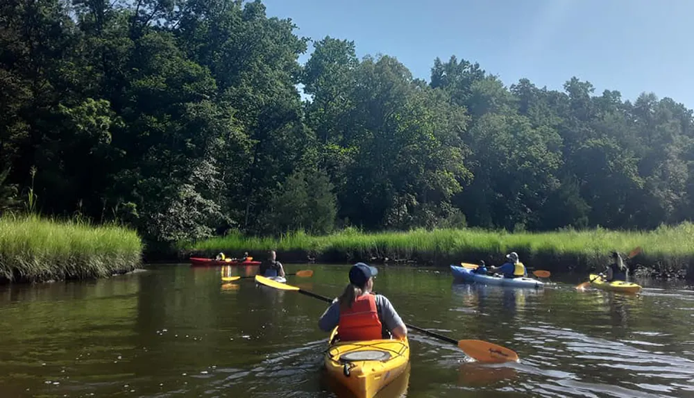 A group of people are enjoying kayaking along a calm river amidst greenery