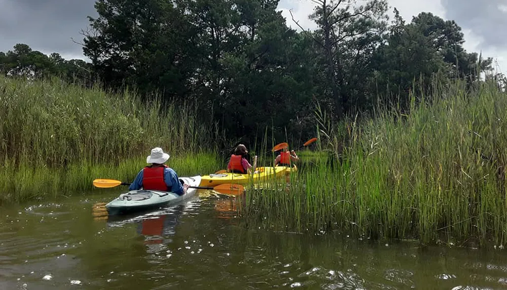 Three people are kayaking through calm waters surrounded by tall grasses under a cloudy sky