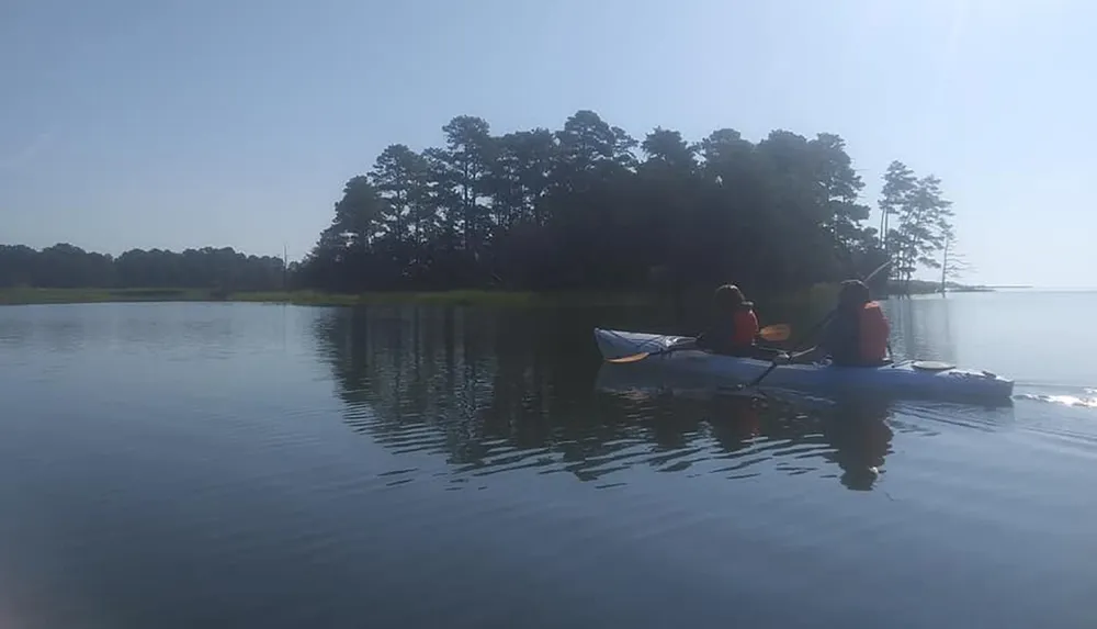 Two individuals are kayaking on calm waters with a backdrop of trees and a clear sky