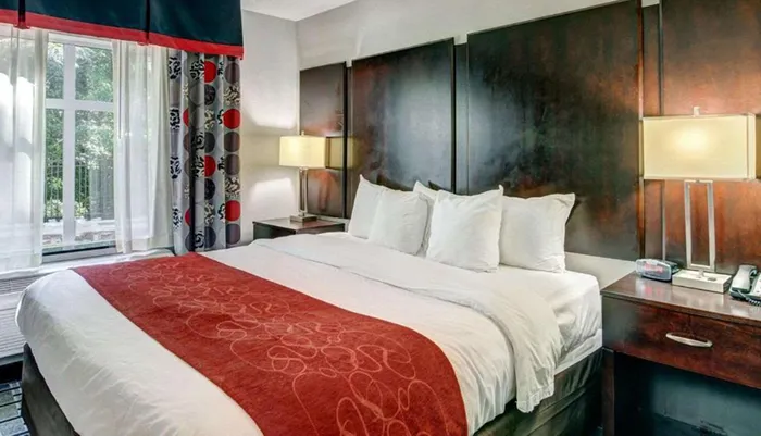 This image shows a neatly arranged hotel room with a large bed contemporary decor and a view of greenery outside the window