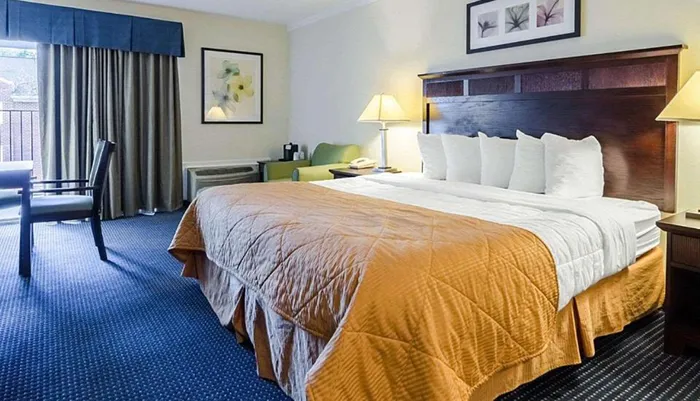 The image shows a tidy hotel room with a large bed covered in a gold comforter white linens a desk chair and wall art indicating a standard accommodation setup