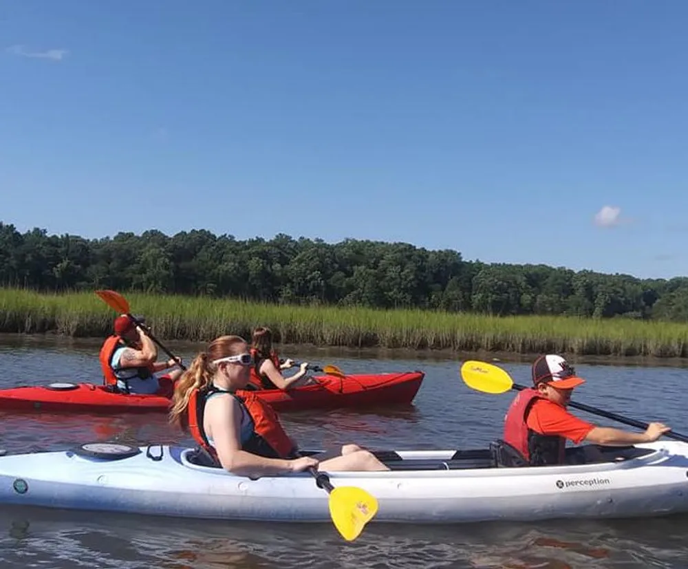 A group of people are kayaking in calm waters near a grassy shoreline under a clear blue sky