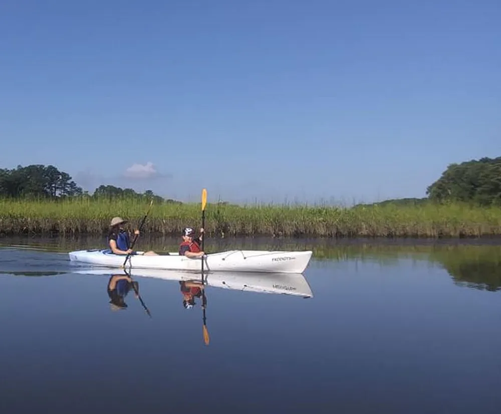 Two people are kayaking on a calm water body surrounded by lush greenery under a clear blue sky