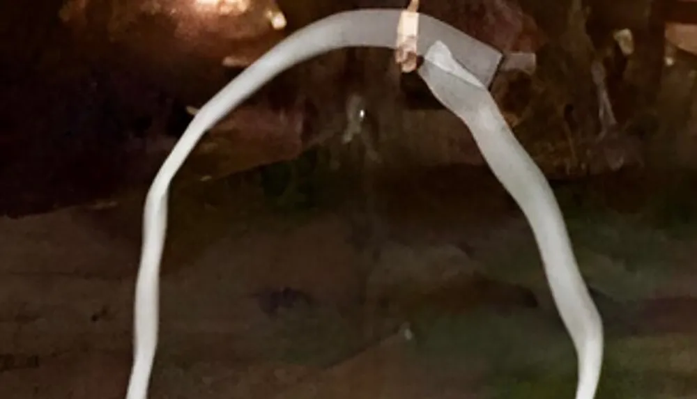 The image is too blurred and lacks context to provide a detailed description but it appears to show a close-up of an object with a bright white curved line that could be a wire or cable against a darker indistinct background