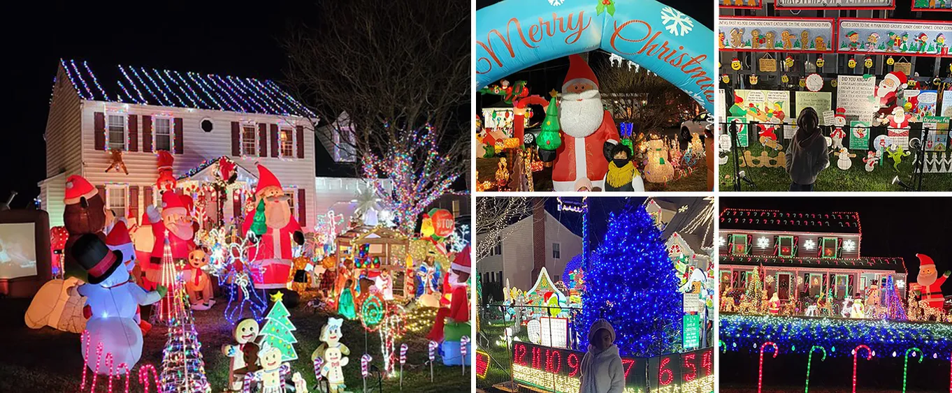Half-Day Holiday and Tacky Lights Tour in Richmond