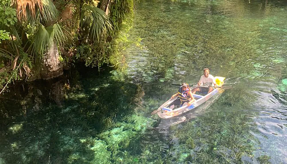 Two individuals are paddling in a clear kayak over transparent water revealing aquatic plants below surrounded by lush greenery