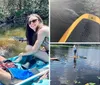 A smiling man and woman are enjoying kayaking together with a manatee visible in the water near them