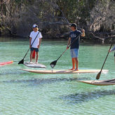 Orlando Manatee and Olde Florida History Adventure Tour