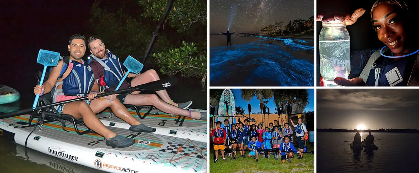 Florida Bioluminescent Paddleboard / Kayak Excursion