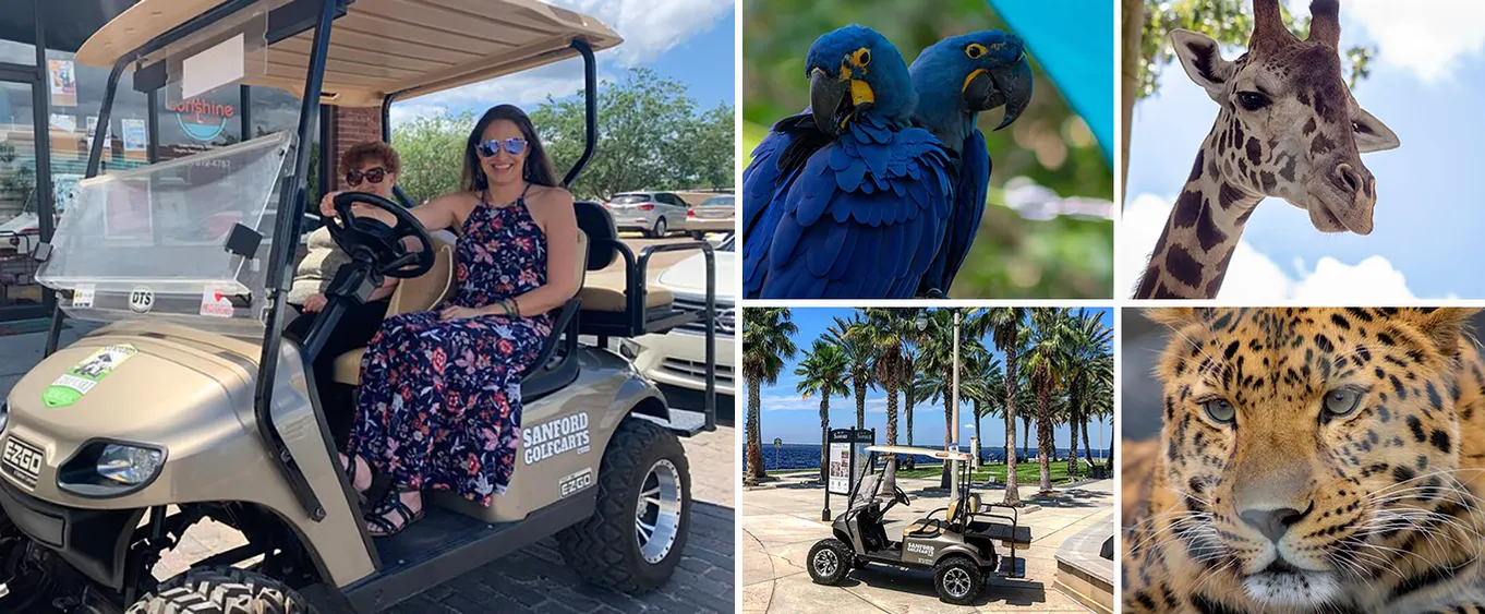 Central Florida Zoo & Downtown Sanford Golf Cart Experience