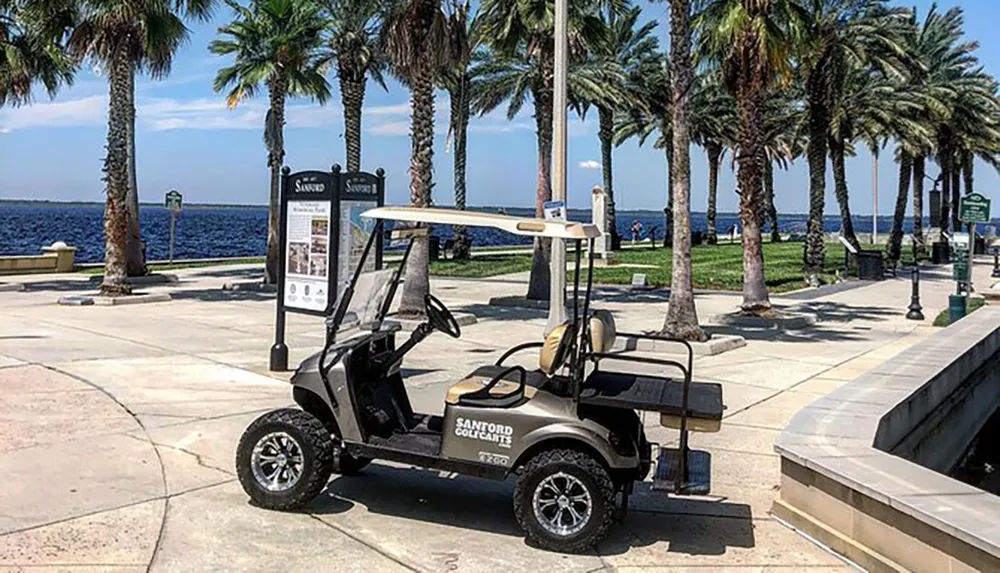 A golf cart is parked on a sunny promenade lined with palm trees overlooking a large body of water