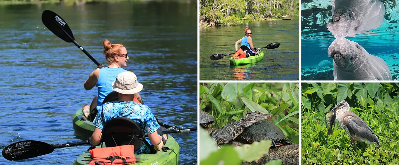 Silver Springs and Wildlife Small-Group Guided Tour