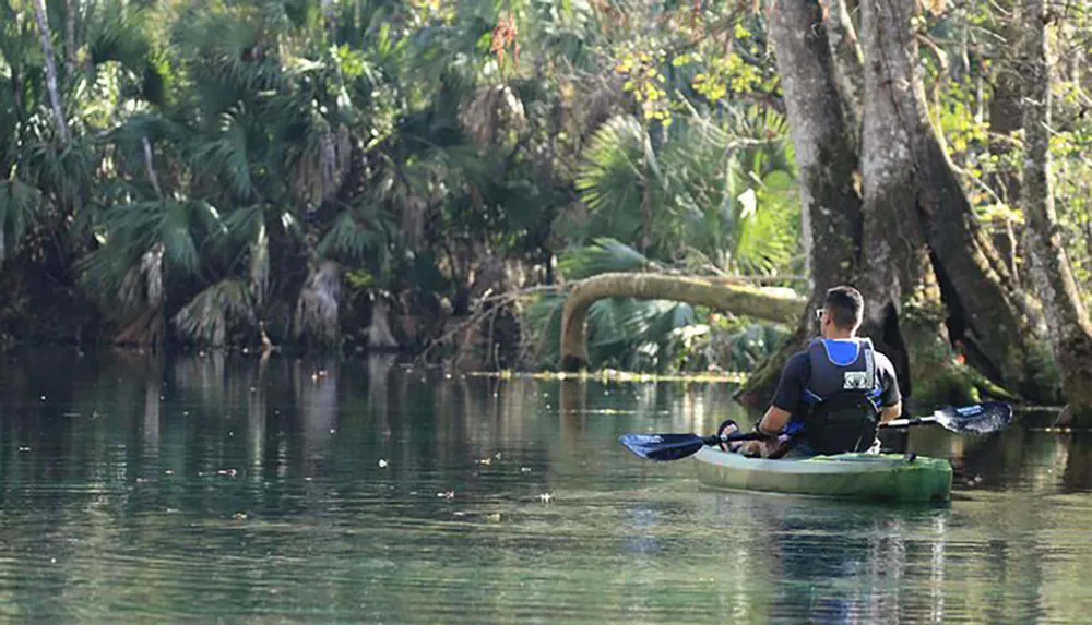 A person is kayaking on a tranquil river surrounded by lush greenery and trees