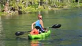 Silver Springs and Wildlife Small-Group Guided Tour Photo