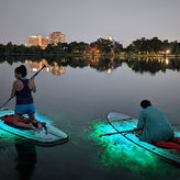 Paddleboard (1 Person)