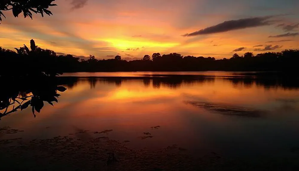 The image captures a serene sunset with vibrant orange hues reflecting on a calm body of water surrounded by silhouettes of trees