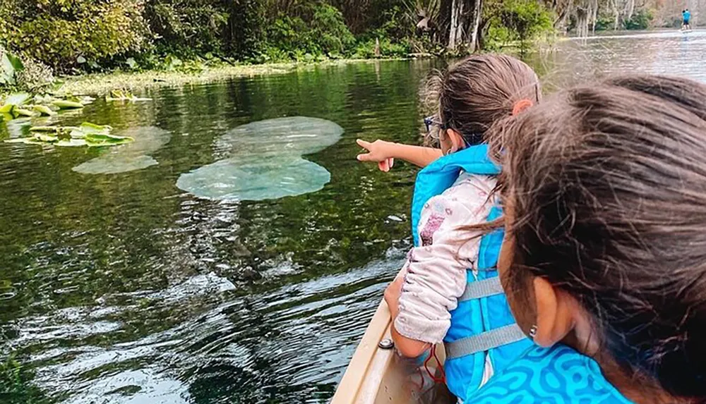Three children are in a canoe with one of them pointing at something in the clear water likely encountering interesting aquatic flora or fauna