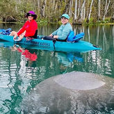 Glass Bottom Kayak Guided Tour in Silver Springs