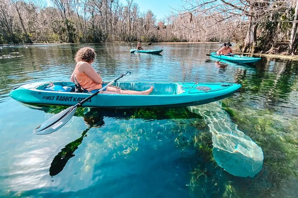Three people are kayaking on a clear water river with visible aquatic vegetation and a manatee swimming below